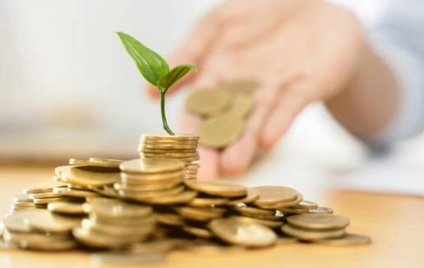 Azərbaycanda aqrar sığorta qanunvericiliyi təkmilləşdirilə bilər