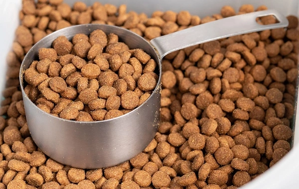 Azərbaycan İraqa heyvan yemi satışından gəlirini artırıb