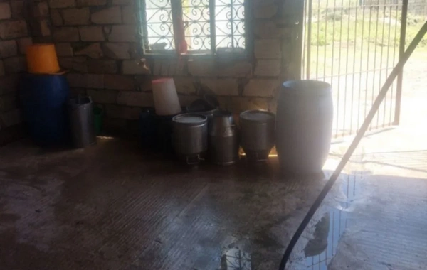 Beyləqanda süd qəbulu məntəqəsində nöqsanlar aşkarlandı, müəssisə bağlandı