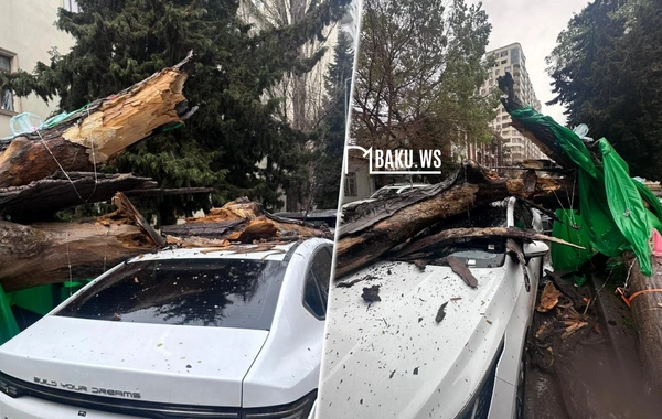 Ağac BYDnin üzərinə aşdı, maşın yararsız hala qaldı