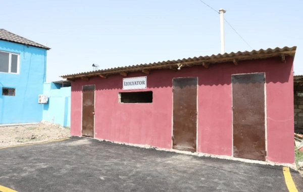 Sabirabad heyvan satışı bazarı fəaliyyətə başlayıb