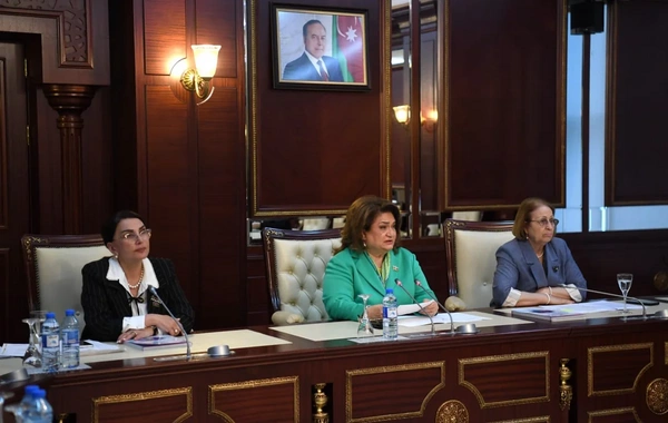 Parlamentin komitə iclasında Ailə, Qadın və Uşaq Problemləri üzrə  Dövlət Komitəsinin məlumatı müzakirə olunub