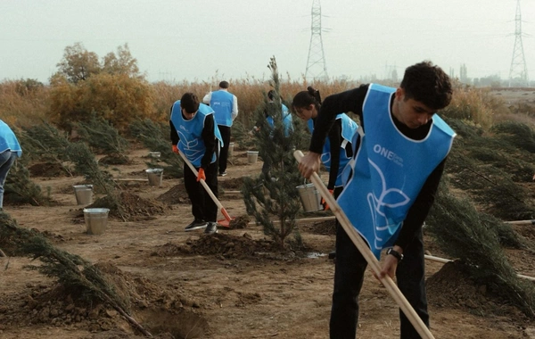 Leyla Əliyeva Mingəçevirdə ekoloji aksiyalarda iştirak edib