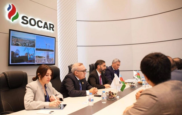 Rövşən Nəcəf bir sıra xarici şirkətlə əməkdaşlıq imkanlarını müzakirə edib