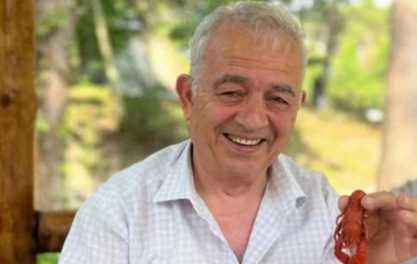 Ağacdan yıxılaraq sümükləri sınan yazıçının SON VƏZİYYƏTİ açıqlandı