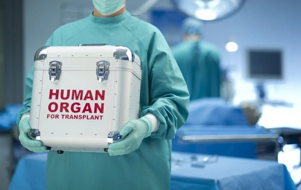Bu ilin altı ayında icbari tibbi sığorta təminatı ilə 80 orqan transplantasiyası əməliyyatı icra olunub