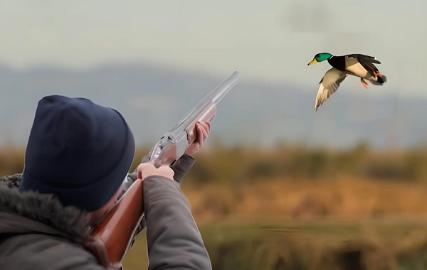 Qaradağ rayonunda qanunsuz ov edən iki nəfər saxlanılıb