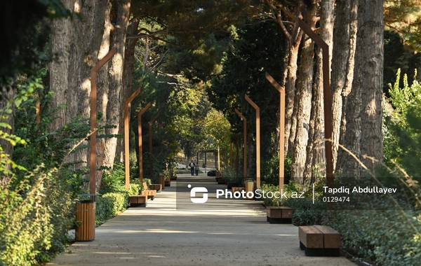 В Баку будет создан многофункциональный парк