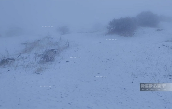 Ordubadın yüksək dağlıq ərazilərində qarın hündürlüyü 20 sm-ə çatıb