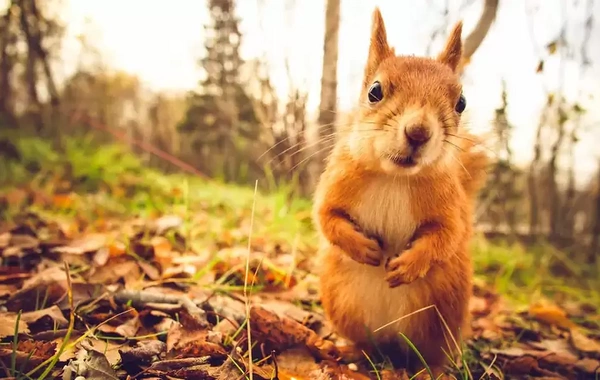 Noyabrın 28 günü Bakı və Abşeronda havanın temperaturu yuxarı olub