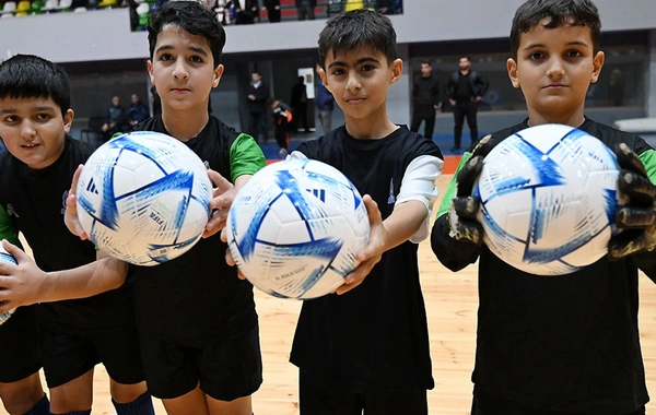 AFFA rəhbərliyi cənub bölgəsinə səfər edib