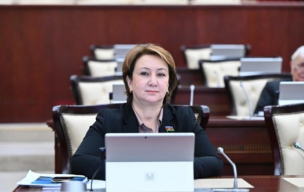 Mehriban Vəliyeva: AXCP kimi qurumlar potensial təhlükə mənbəyidir