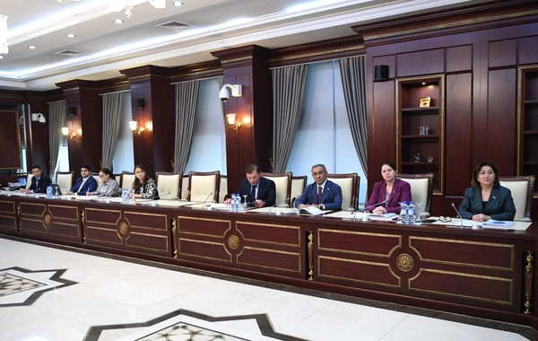 Parlamentin komitə iclasında Ailə, Qadın və Uşaq Problemləri üzrə  Dövlət Komitəsinin məlumatı müzakirə olunub