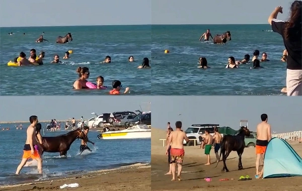 Pirşağı çimərliyində atla dənizə girən şəxs MƏSULİYYƏTƏ CƏLB OLUNDU