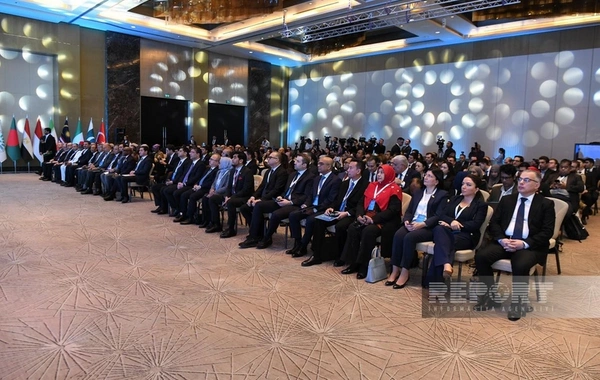 Baku declaration on expanding media cooperation between D-8 countries has been adopted