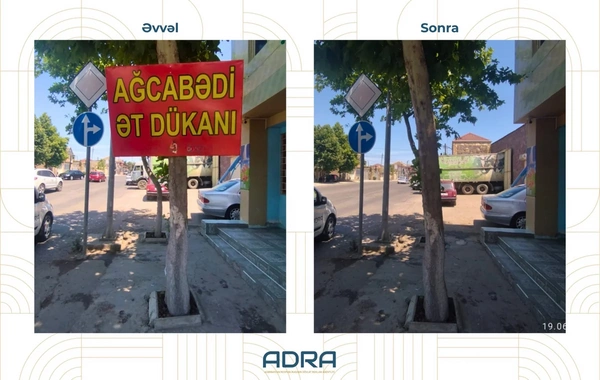 Ağaclara qanunsuz yerləşdirilən 267 reklam qurğusu söküldü