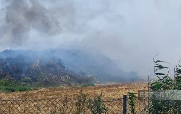 Masallıda zibil poliqonu yanır, əkin sahələri üçün təhlükə yaranıb