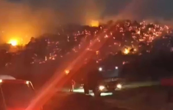 Meşə yanğını 6 saatdan sonra söndürüldü