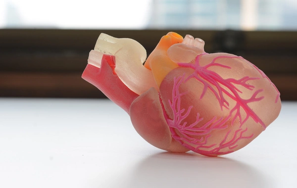 Ученых удивило влияния рака на работу сердца