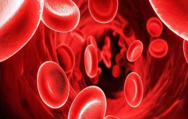 Анемия ослабляет память и внимание? Отвечает специалист-эксперт Минздрава