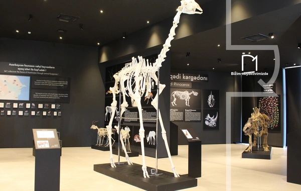 Palçıq Vulkanları Turizm Kompleksi – Azərbaycanın təbiət möcüzələrinə açılan yeni qapı