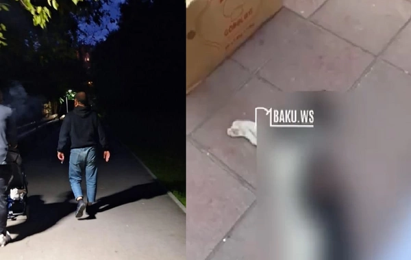 Bakıda pişiklərə işgəncə verərək öldürən manyak PEYDA OLUB - GÖRÜNTÜLƏR