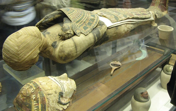 The curse of mummies turned out to be a real biological threat to antiquities buyers