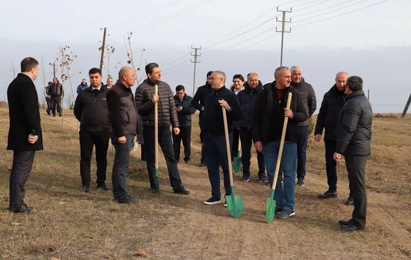 Xocalıda Heydər Əliyevin anım günü münasibətilə ağacəkmə aksiyası keçirilib