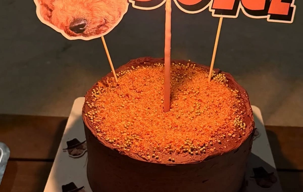 Nəsrin Cavadzadə iti Dolceyə ad günü keçirdi