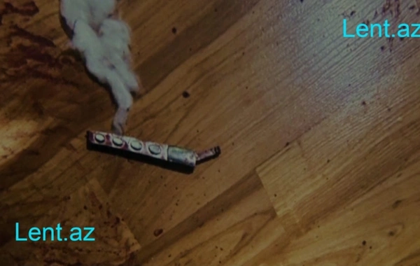 Röya Ayxanın stilistini 57 bıçaq zərbəsi ilə ÖLDÜRDÜLƏR - Hadisə yerindən GÖRÜNTÜLƏR