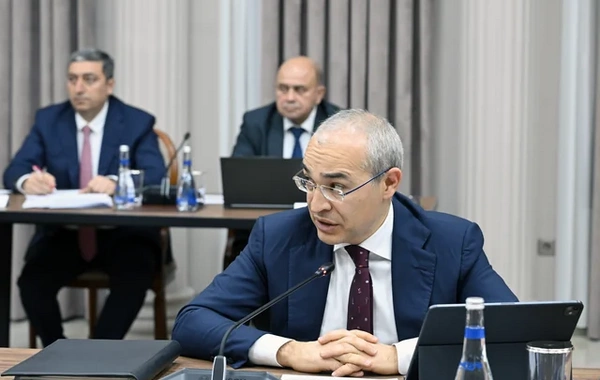 İqtisadi Şuranın növbəti iclası keçirilib