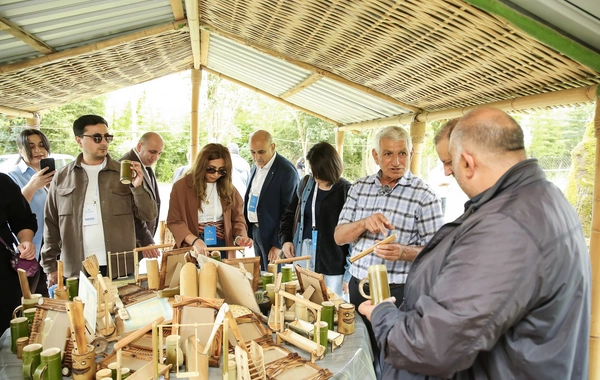 Lənkəranın turizm imkanları geniş auditoriyaya nümayiş etdirilib