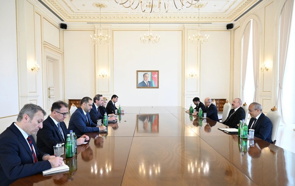 Президент Ильхам Алиев принял министра энергетики и природных ресурсов Турции