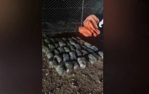 Polis Astarada əməliyyat keçirib, 45 kq narkotik vasitə dövriyyədən çıxarılıb