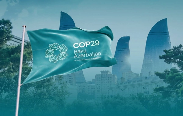 Gənc diplomatlar COP29-un uğurla keçirilməsi münasibətilə Azərbaycanı təbrik edib