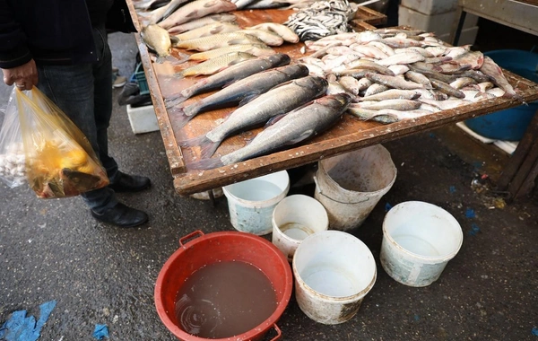 "8-ci km" bazarında nöqsanlar aşkarlanıb