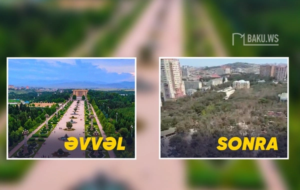 Xırdalandakı Heydər Parkında ağaclar quruyur
