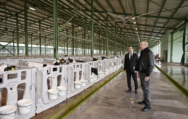 Prezident İlham Əliyev Şamaxıda "Şirvan Aqro" heyvandarlıq kompleksinin açılışında iştirak edib