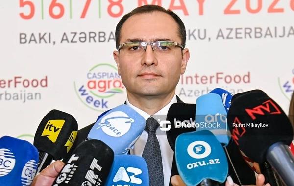 Nazir: Yağışlar taxılçılığa müsbət, meyvəçiliyə mənfi təsir edə bilər