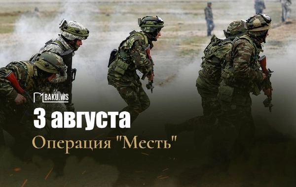 Исполняется 4 года со дня проведения операции Возмездие