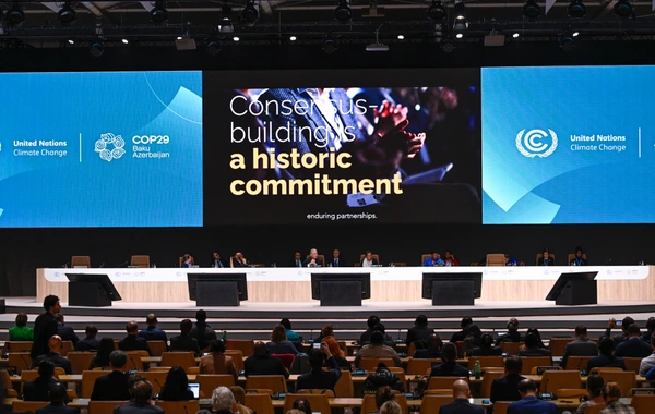 Состоялось заключительное пленарное заседание COP29, принят ряд важных решений