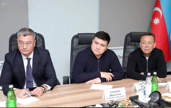 SOCAR обсудила возможности сотрудничества с Кыргызстаном