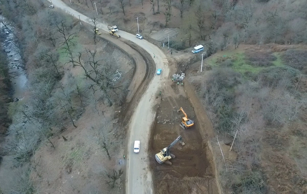 AAYDA: Lənkəran-Lerik avtomobil yolunda yaranmış problem aradan qaldırılıb