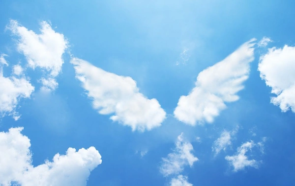 Единственный знак зодиака, чье сердце является домом ангелов