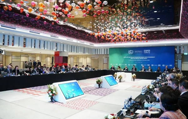 Azərbaycan nümayəndə heyəti COP31-ə hazırlıqla bağlı ilk strateji planlaşdırma görüşündə iştirak edib