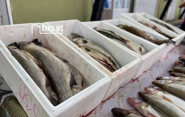 Bakıda balıq yarmarkası fəaliyyətə başladı