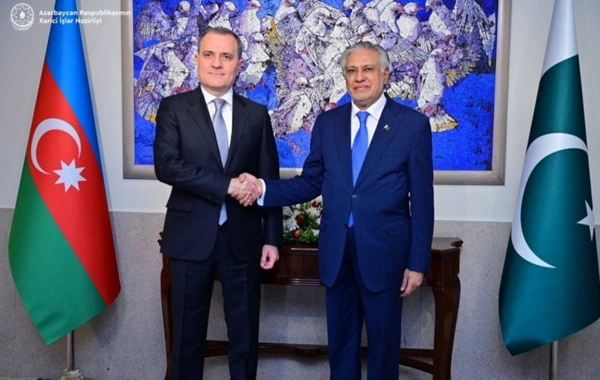 Azərbaycan və Pakistan XİN başçıları ECO Zirvəsinin təfərrüatlarını müzakirə ediblər