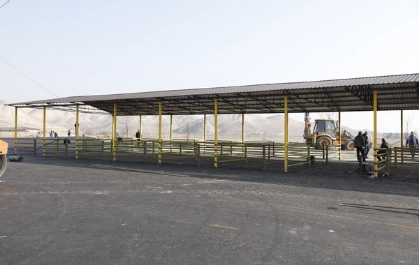 Daha bir rayonda heyvan satışı bazarı yaxın günlərdə açılacaq - RƏSMİ