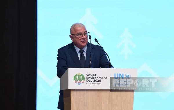 Nazir müavini: Xəzərin səviyyəsinin azalması beynəlxalq gündəmdə daha çox yer tutur