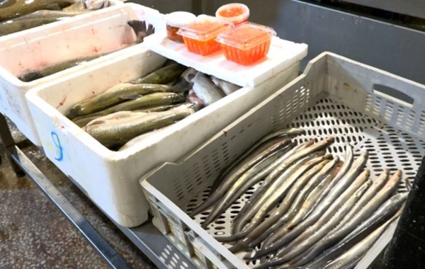 Bakıdakı bazarlardan birində balıq kürüsü satışında ciddi nöqsanlar aşkarlanıb